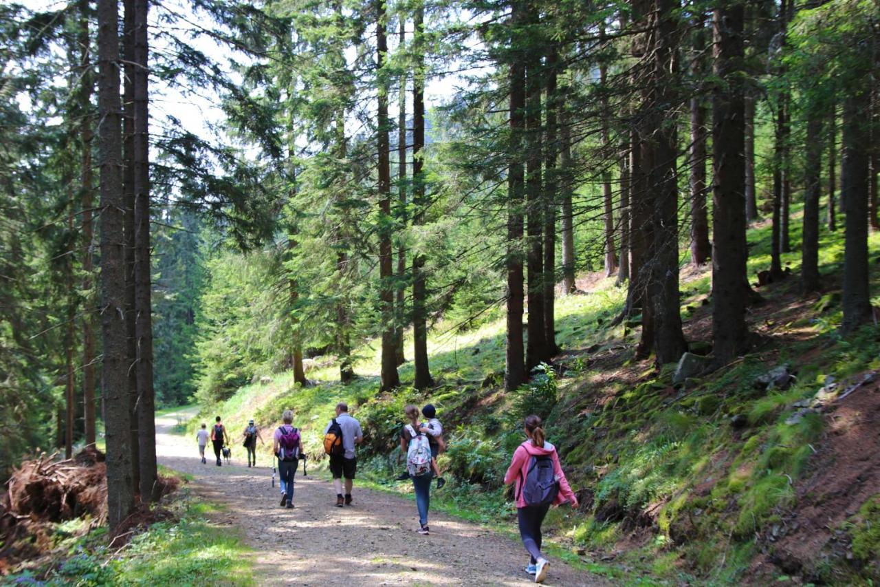 Genuss-Pension Herti Übelbach エクステリア 写真